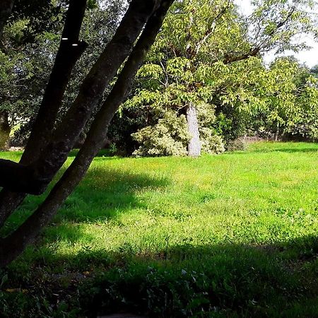 Domaine De La Tranquillite V Villa Noyal-Muzillac Dış mekan fotoğraf