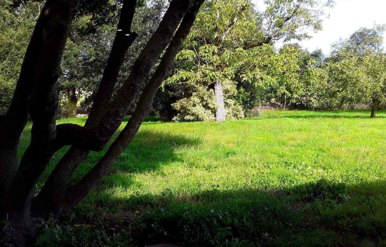 Domaine De La Tranquillite V Villa Noyal-Muzillac Dış mekan fotoğraf